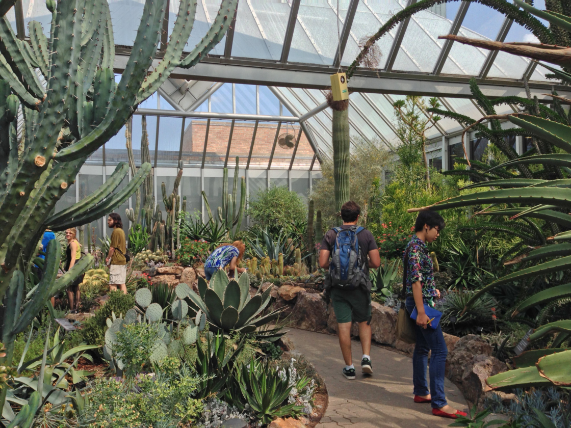 Research Undergrads go on a field trip to experience other gardens