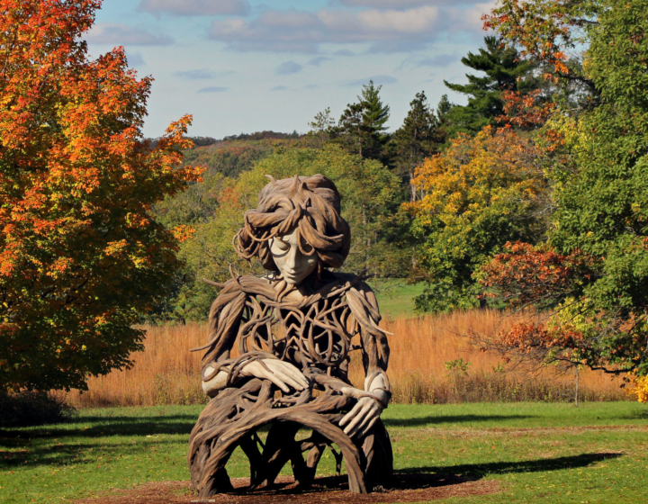 Human+Nature Exhibit Umi Sculpture in Fall
