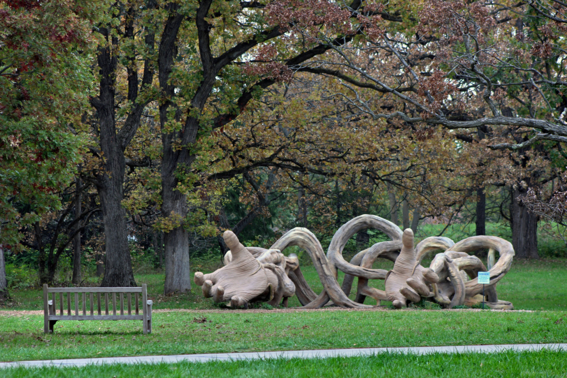 Human+Nature sculpture Basilica in Fall