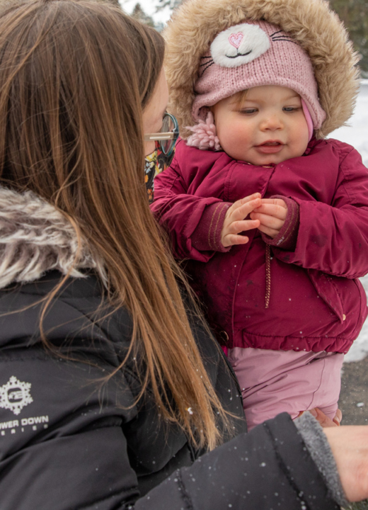 The Morton Arboretum