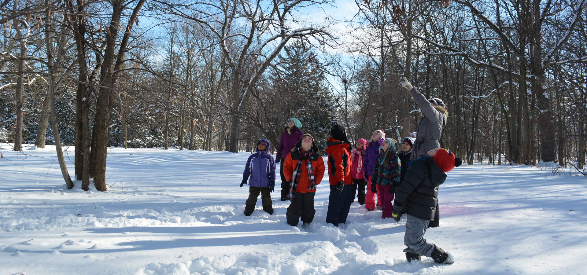 A young group of kids look up in the trees in winter