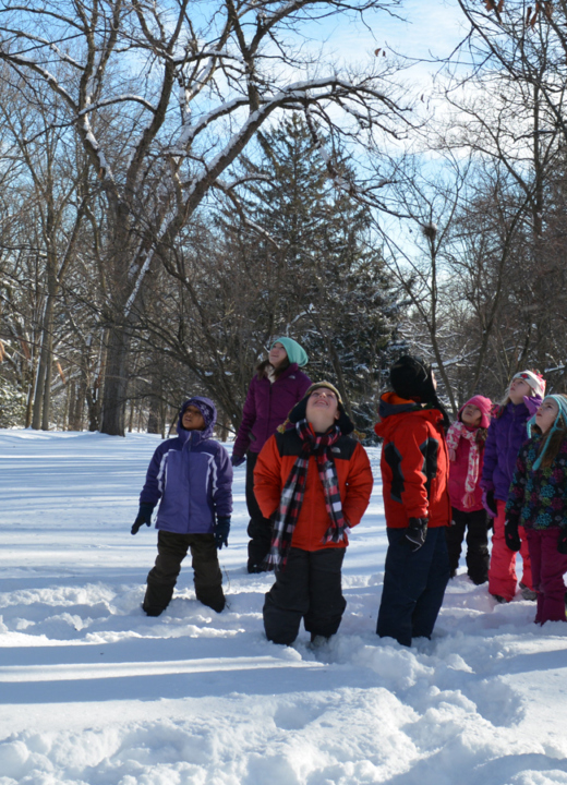 A young group of kids look up in the trees in winter