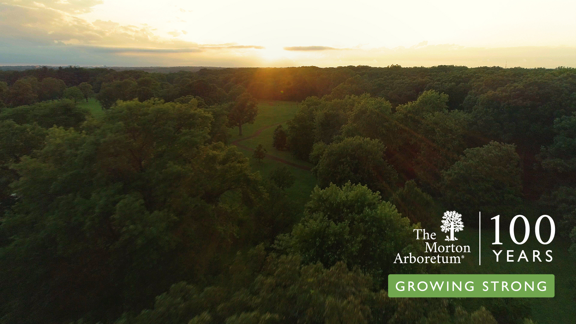 The Morton Arboretum