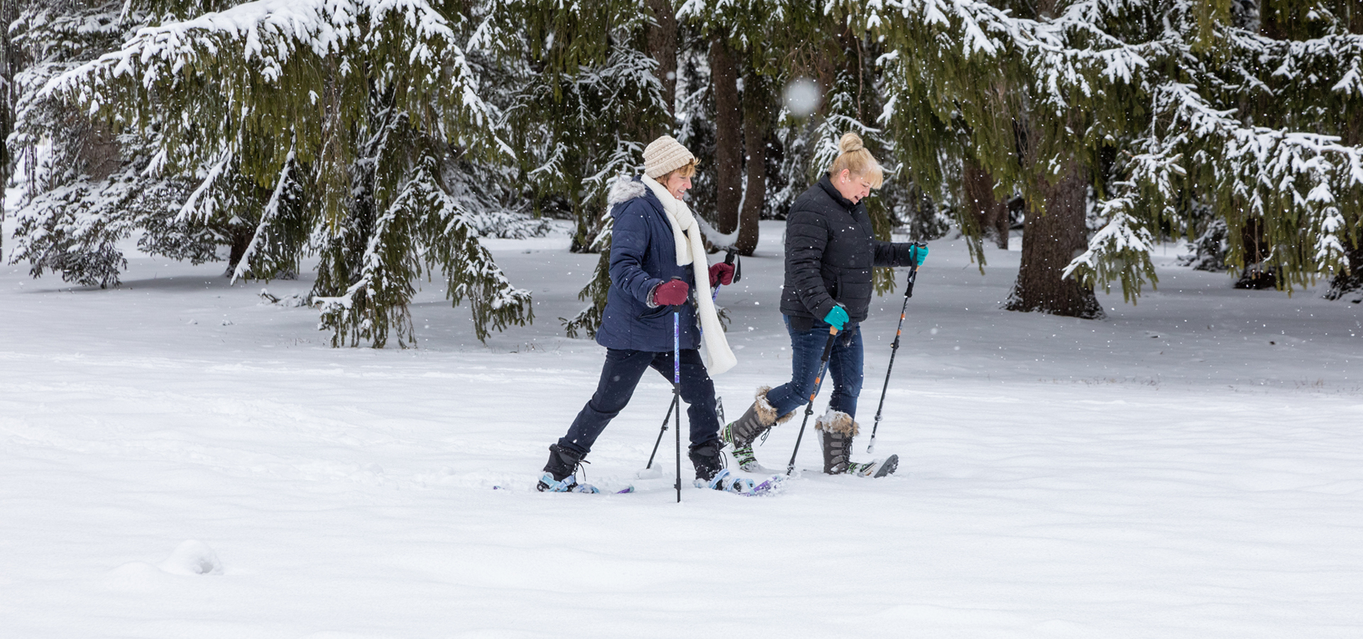 Two friends snow shoe through the Conifer Collection in Winter