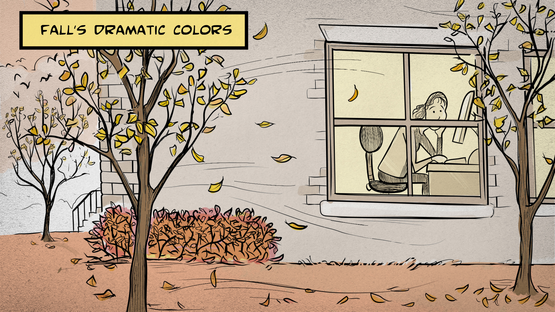 Fall's dramatic colors: Sasha is sitting at a desk inside behind a large window, gazing out at a fall scene with blowing leaves and trees with fall color.