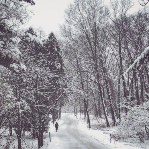 Guest walks on the road through the woods in winter