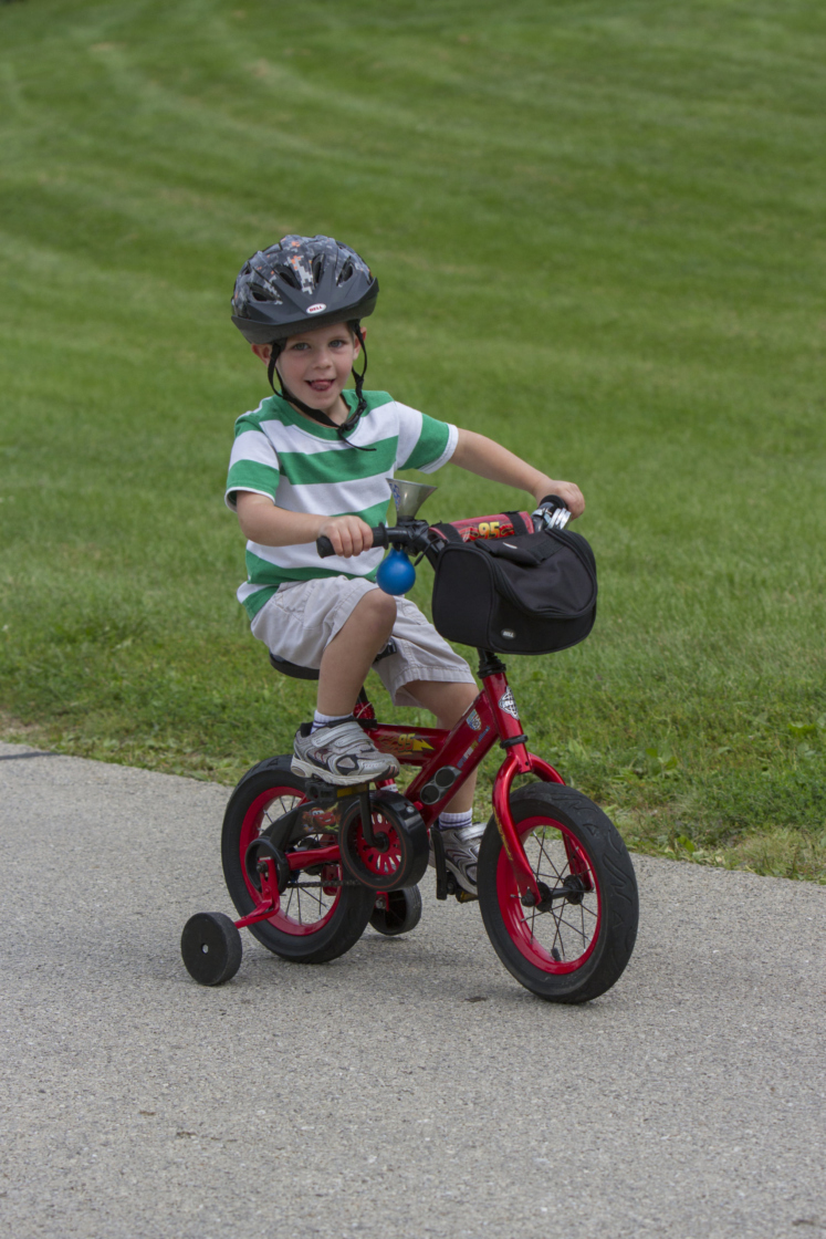 The Morton Arboretum