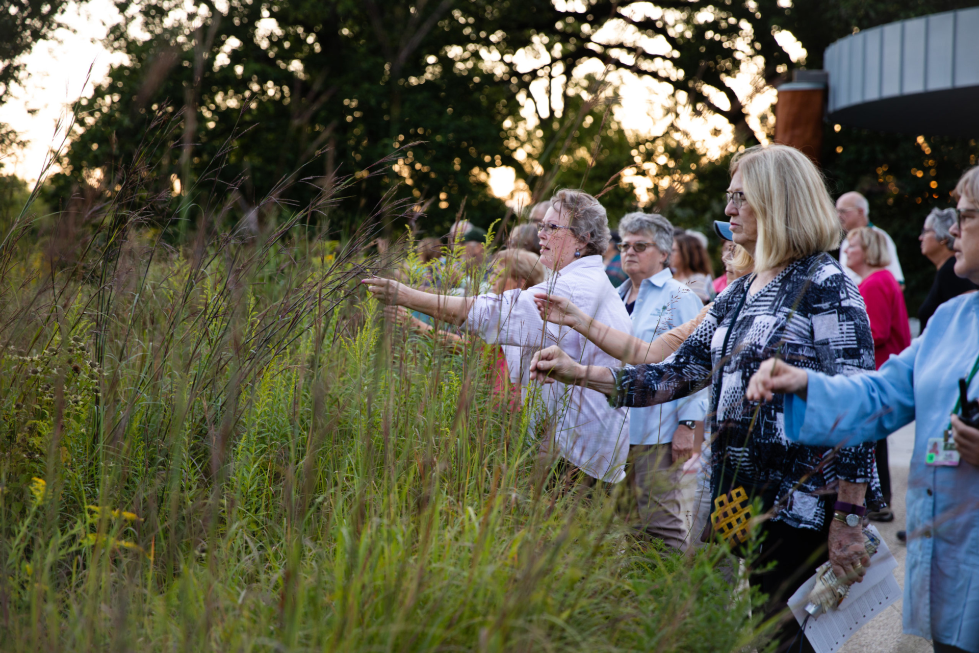 A group of adults looking at prairie plants during an evening class.
