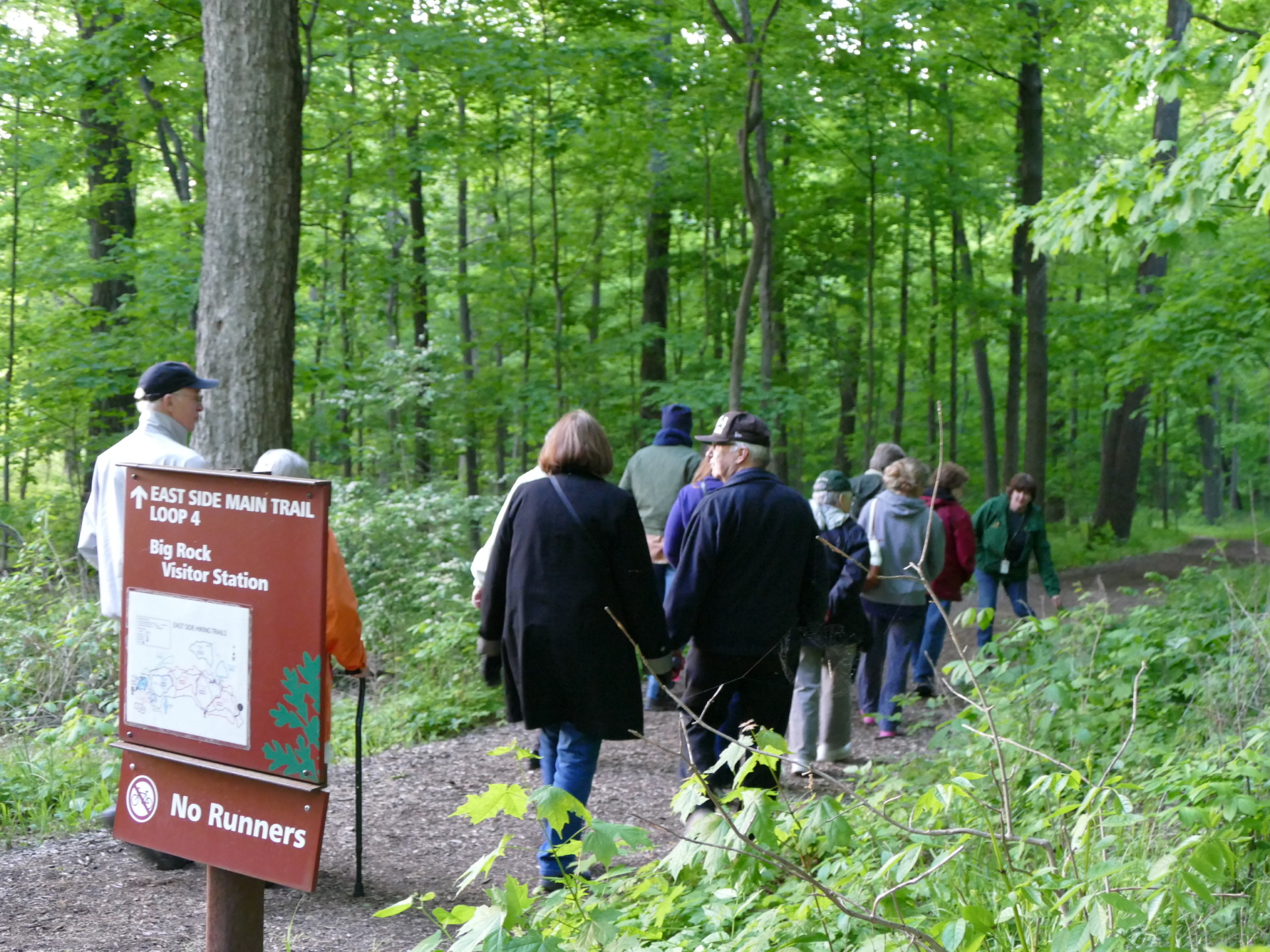 Group of hikers attending a guided hike educational program in The Morton Arboretum's East Woods in the summer