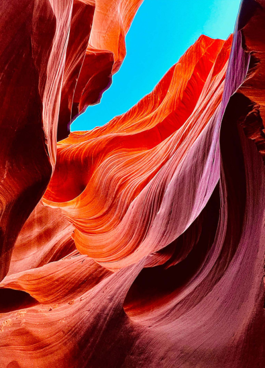 Arbor Day Plant Sale The Morton Arboretum