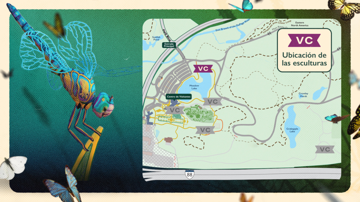 The Morton Arboretum