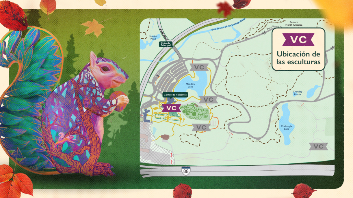 The Morton Arboretum