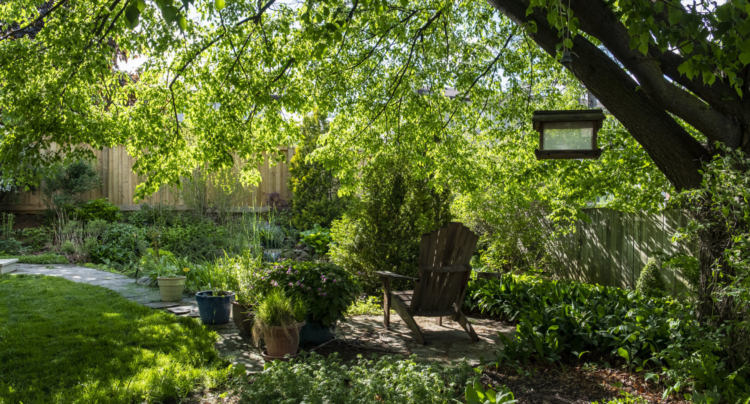 The Morton Arboretum