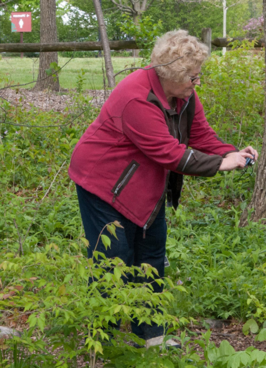 Two young children with an arboretum instructor and their mother and grandmother.