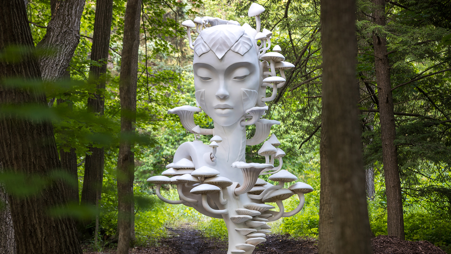 Photograph of Mycelia, a sculpture made by Daniel Popper as part of the Human+Nature series