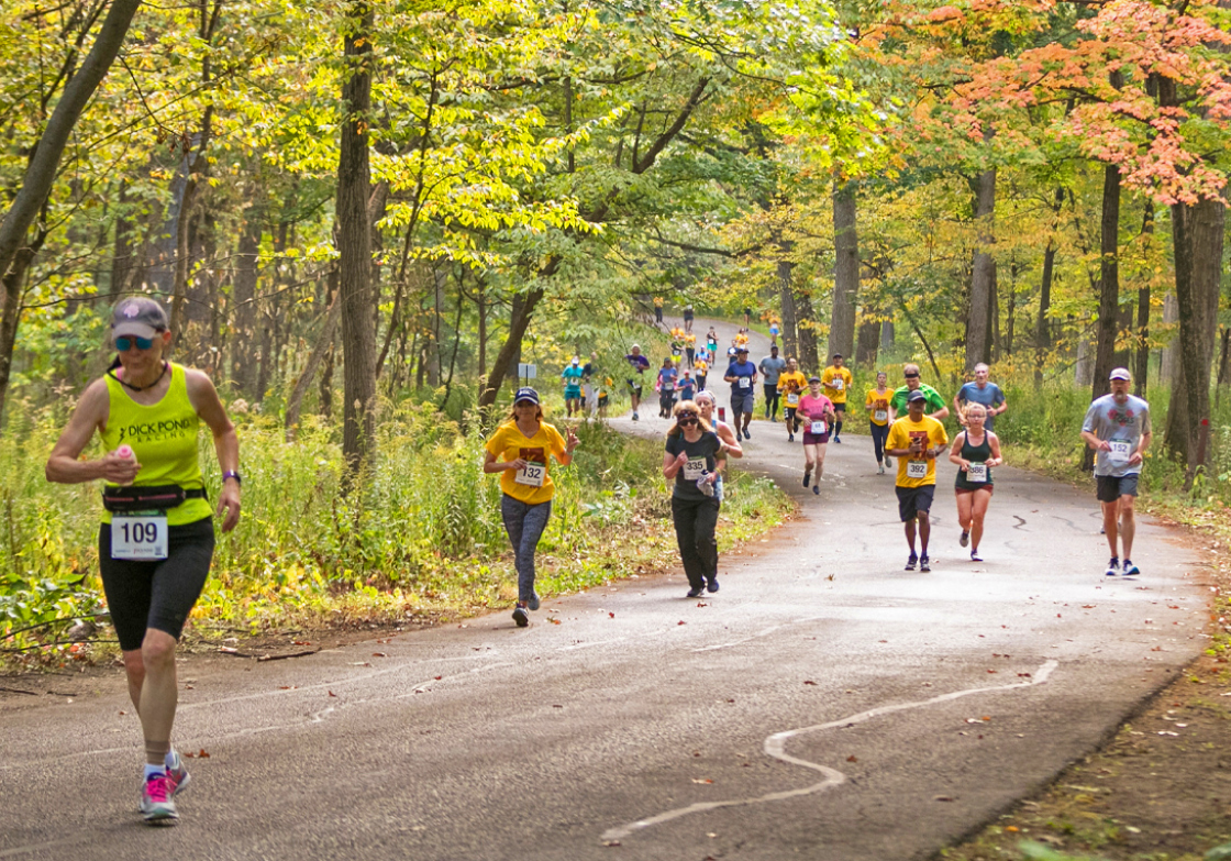 Photograph of runners and walker participating in the Fall Color 5K moving through the East Woods of The Morton Arboretum