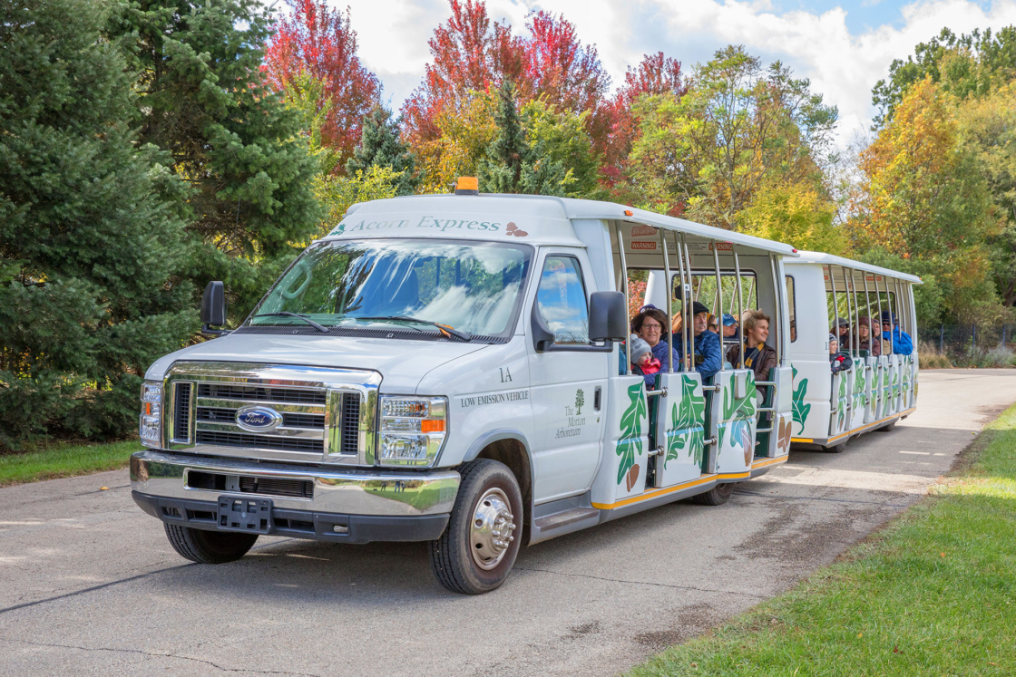 Photograph of Acorn Express tram tours near trees showing fall color
