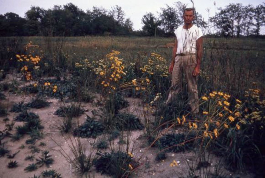 The Morton Arboretum