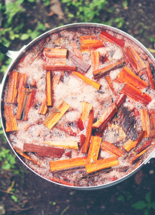 Creating fabric dye with natural materials