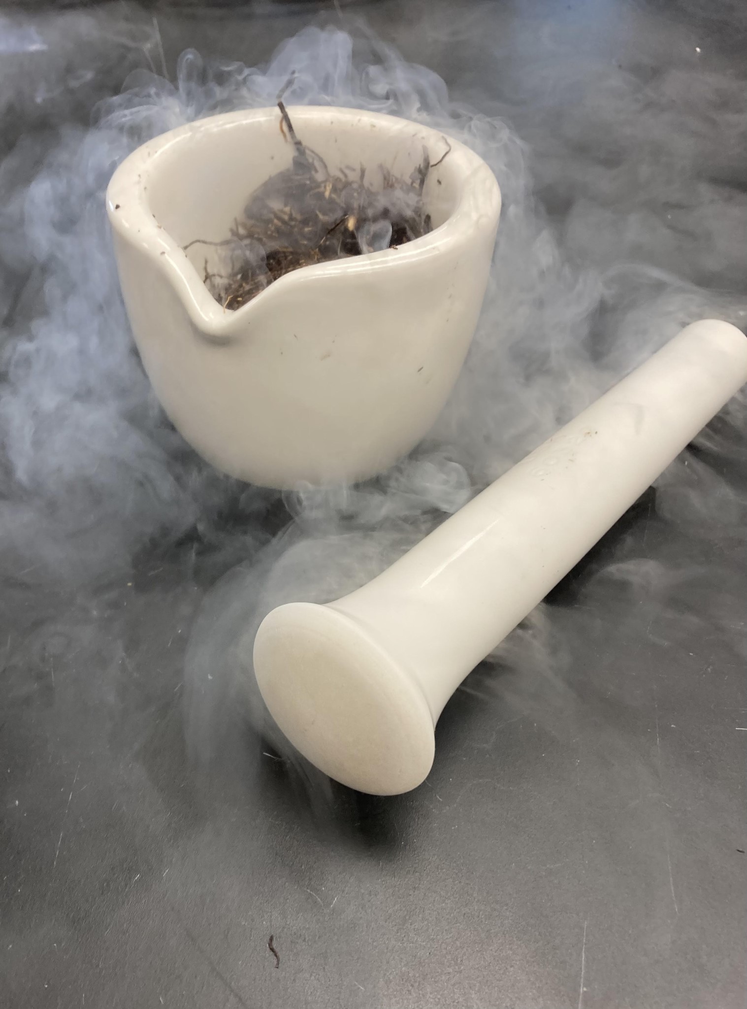 The Morton Arboretum