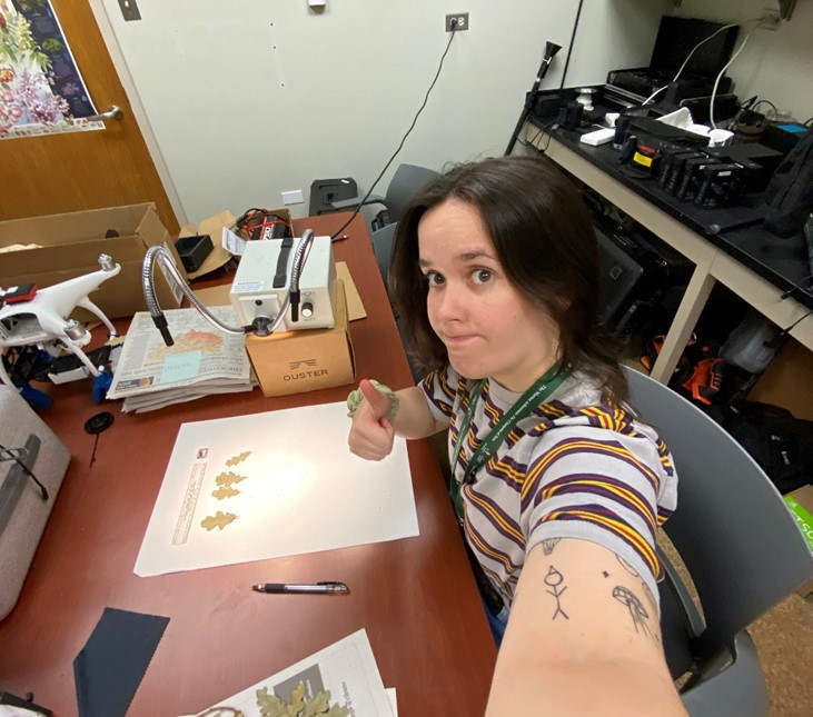 The Morton Arboretum