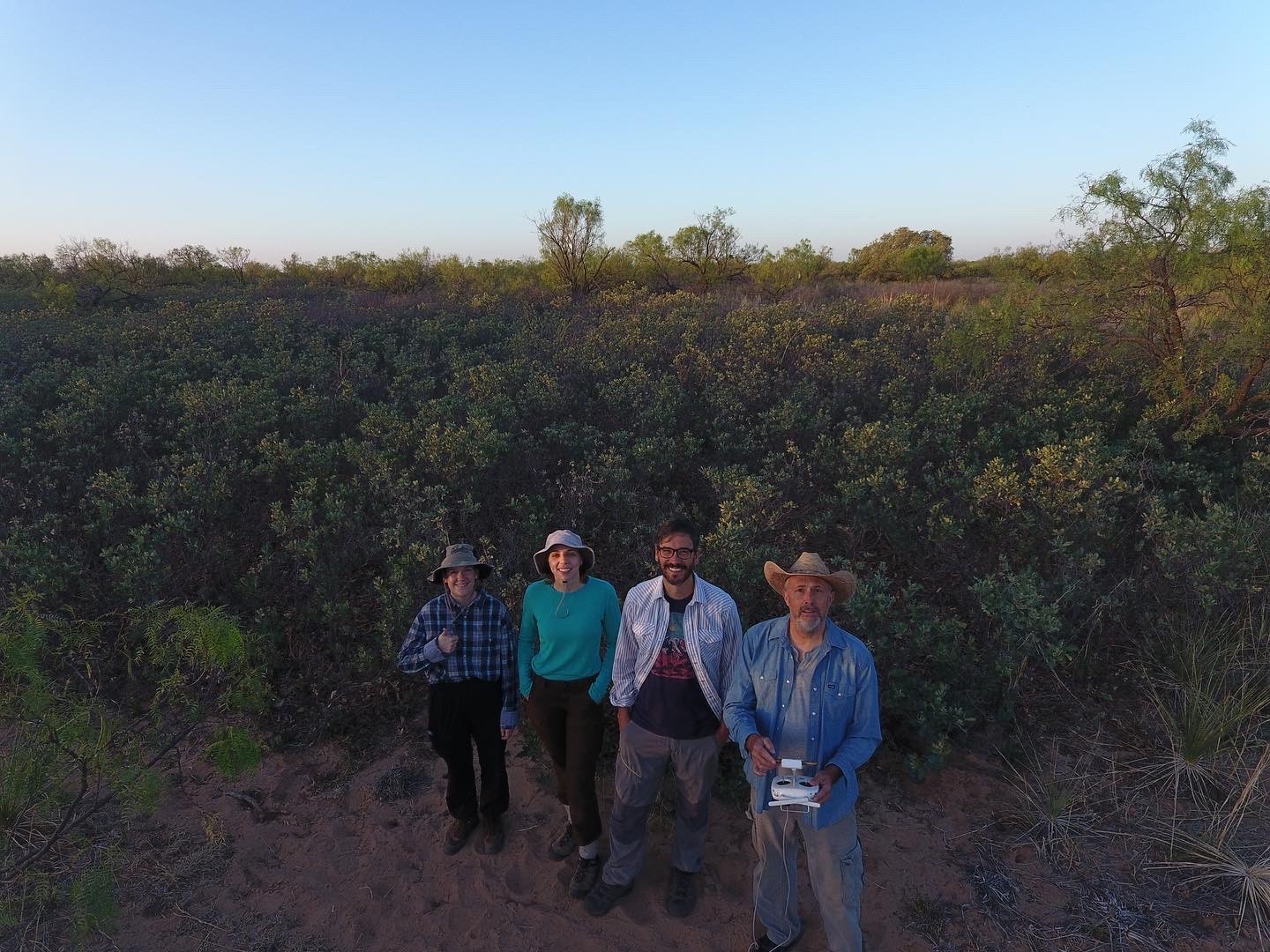 The Morton Arboretum