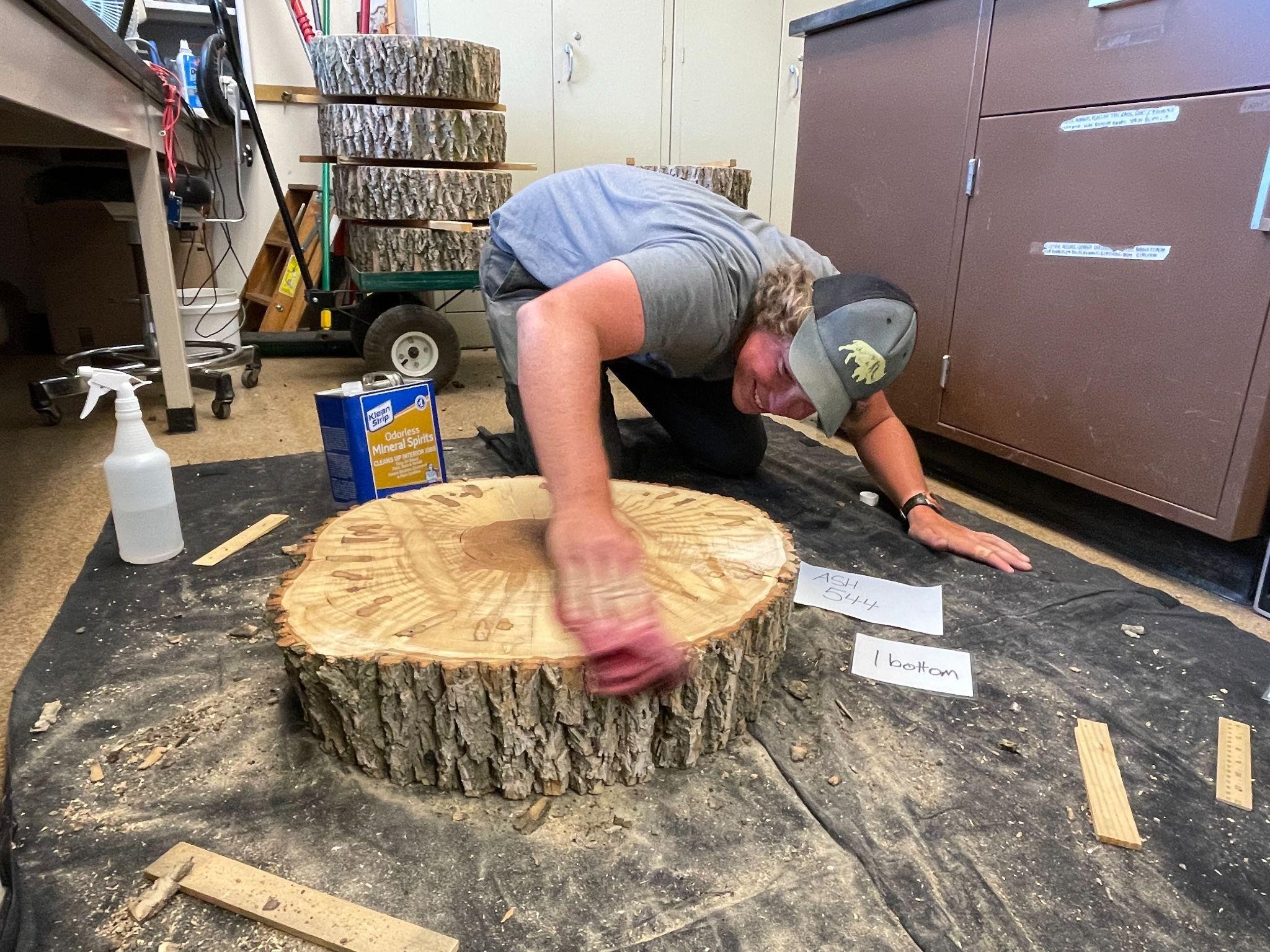 The Morton Arboretum