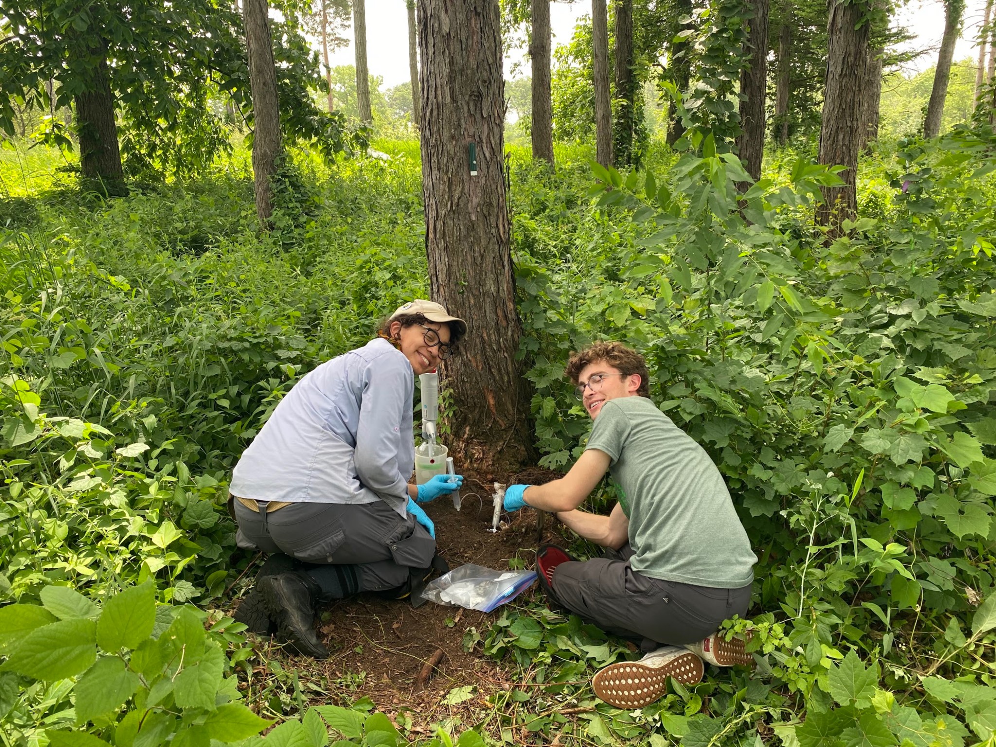 The Morton Arboretum