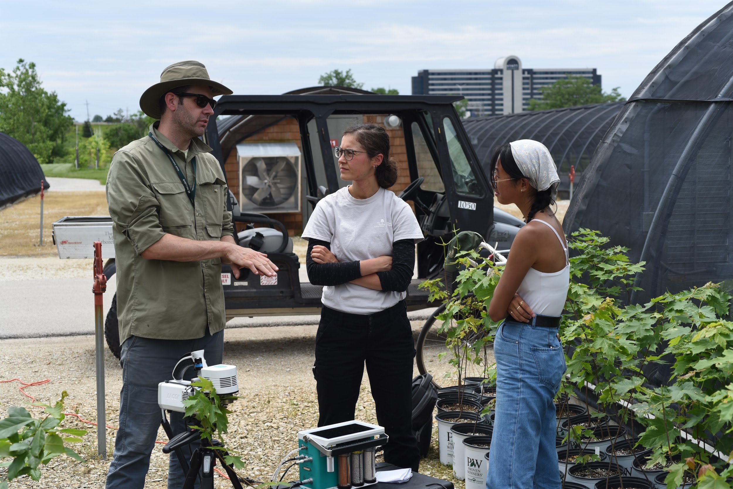 The Morton Arboretum