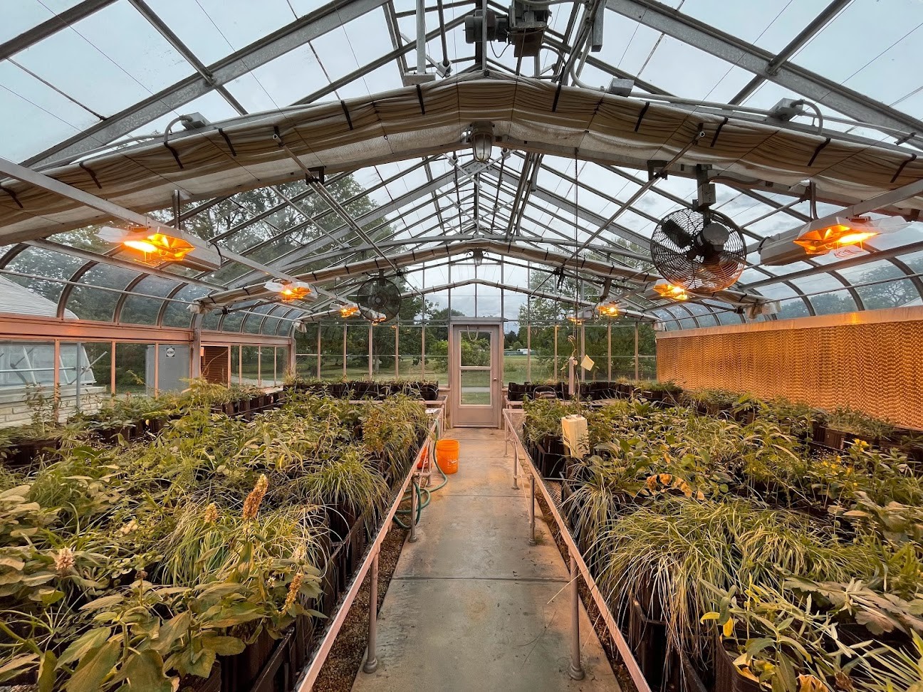 The Morton Arboretum