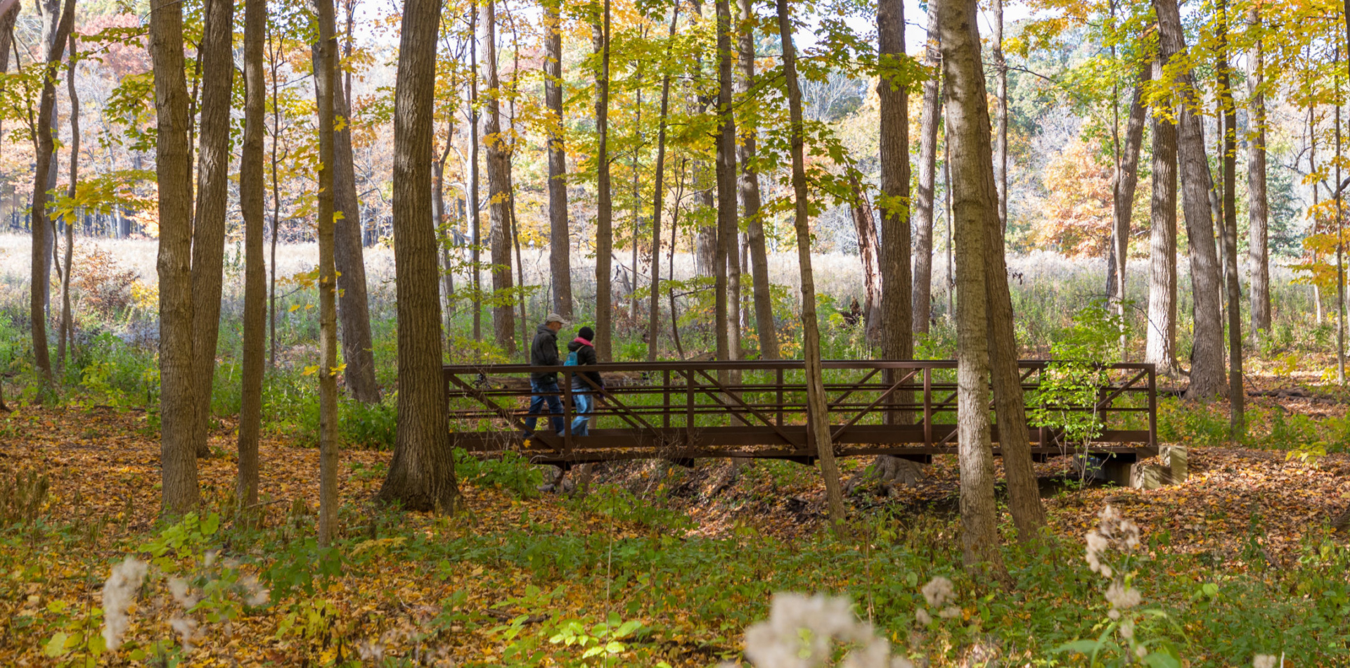 Couple walking over a bridge in the woods in fall.