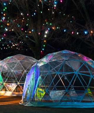 The Morton Arboretum
