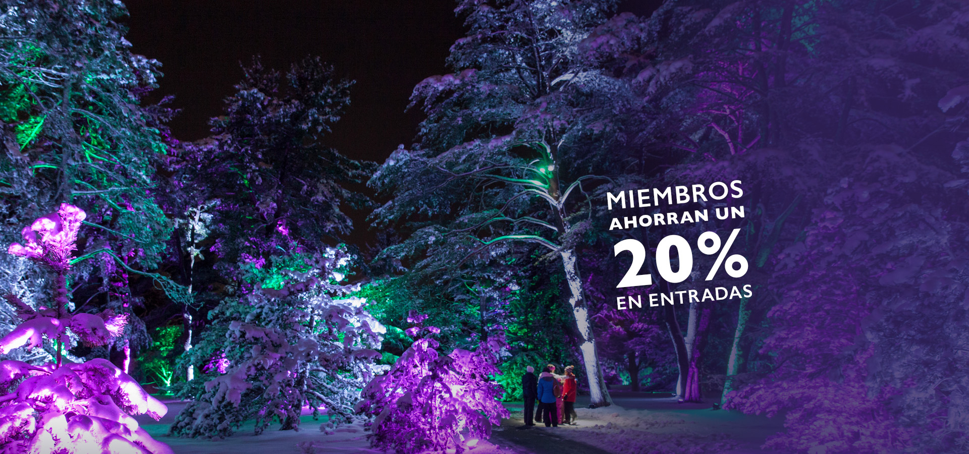The Morton Arboretum
