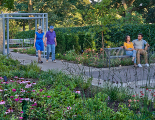 A few groups of guests relax in the Joy of Plants Garden