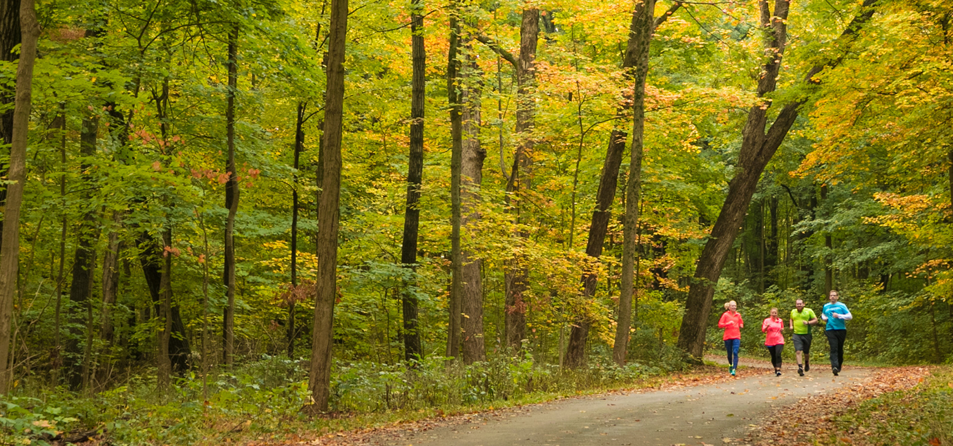 Runners among golden yellow trees