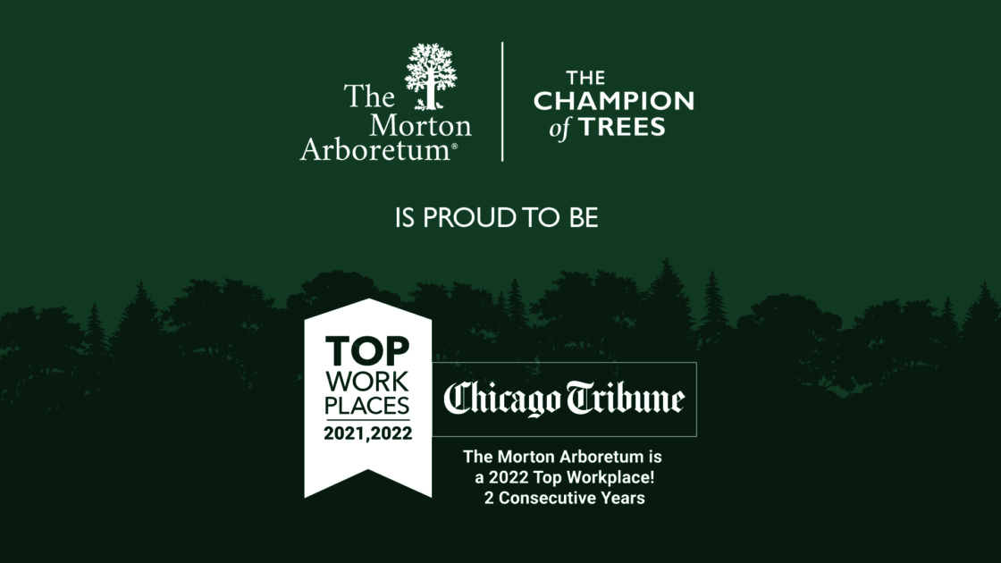 The Morton Arboretum