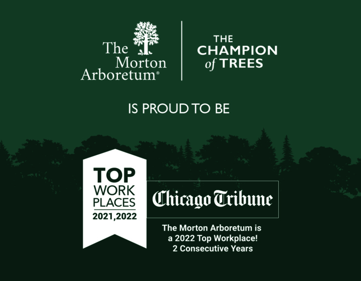 The Morton Arboretum