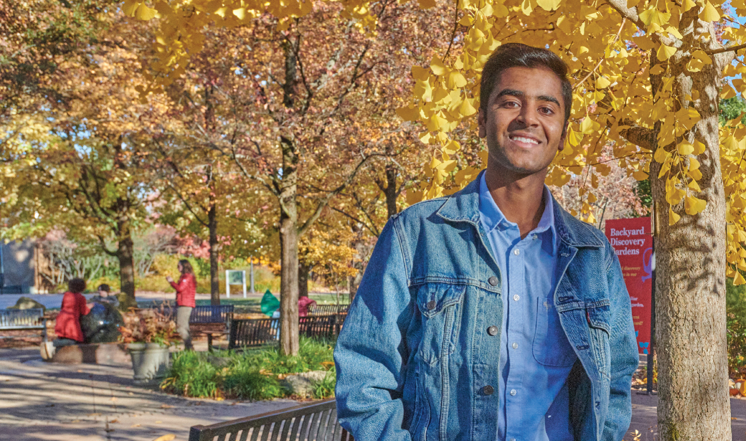 A young man poses in front of a yellow ginkgo tree in the Children's Garden in the fall.