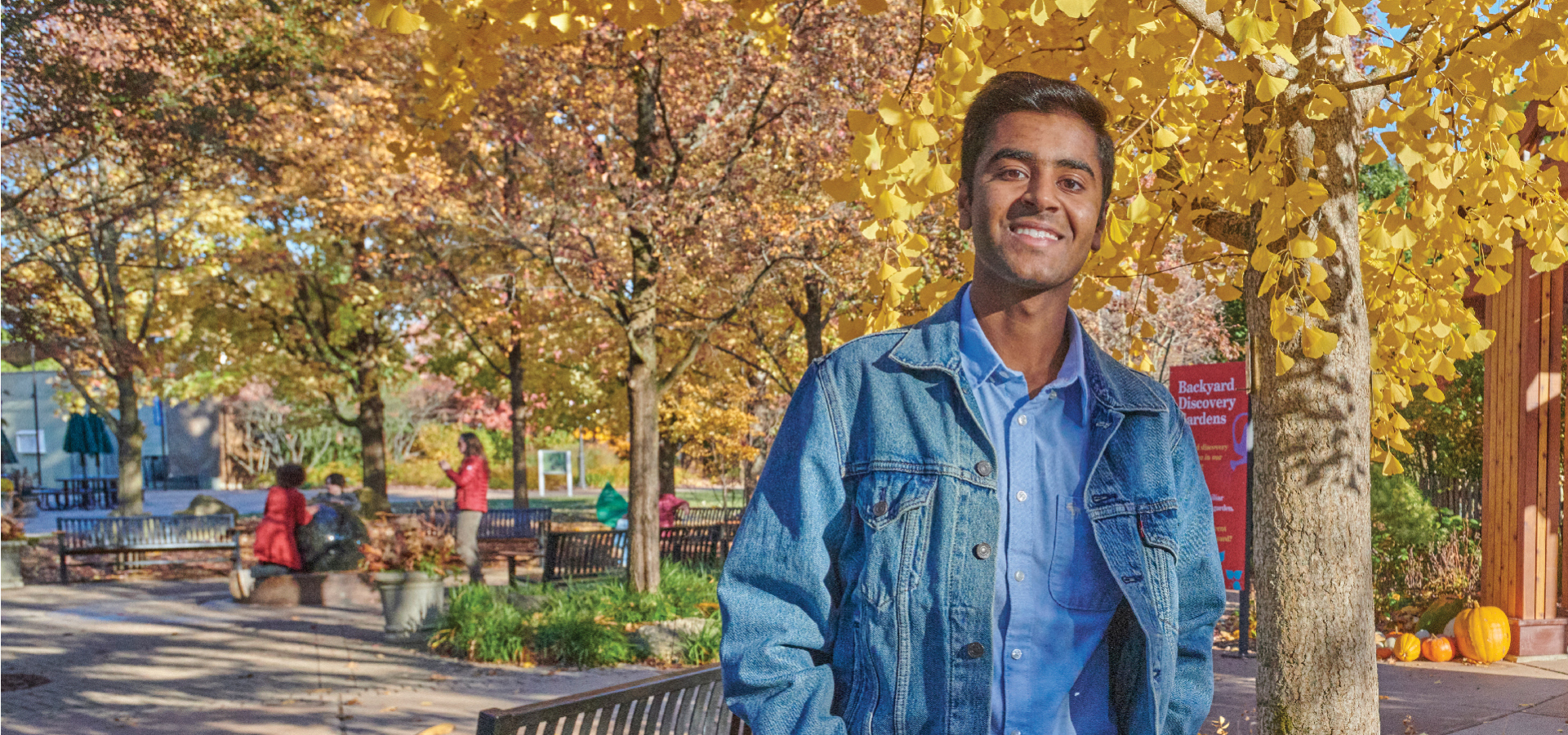 A young man poses in front of a yellow ginkgo tree in the Children's Garden in the fall.
