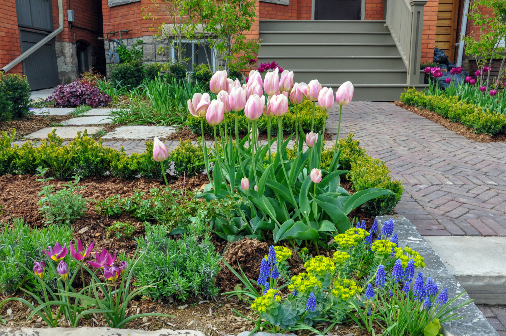 The front garden of an urban home showing flowers and shrubs in mulch, surrounded by paving stones.