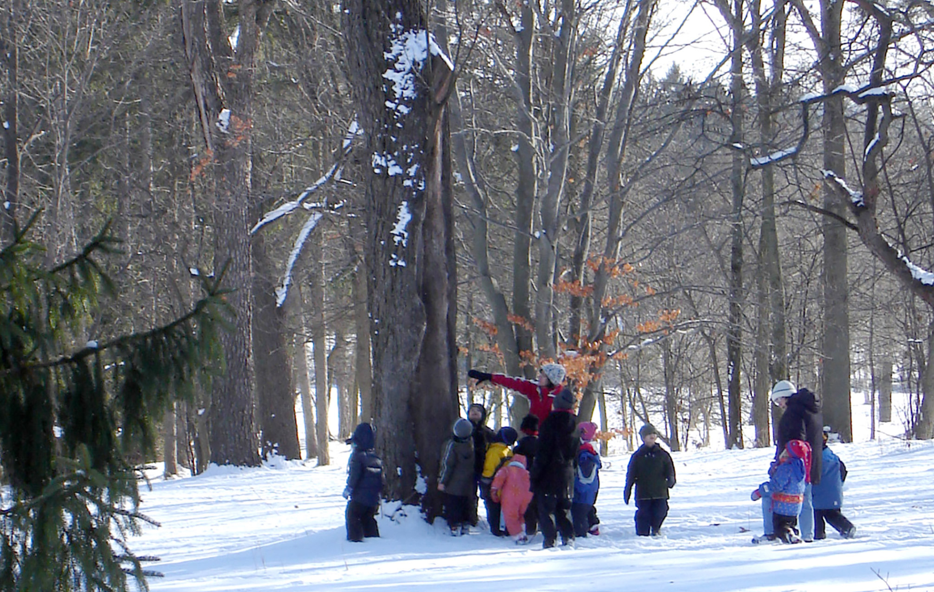 A group of children explore the winter woods with Arboretum instructors.