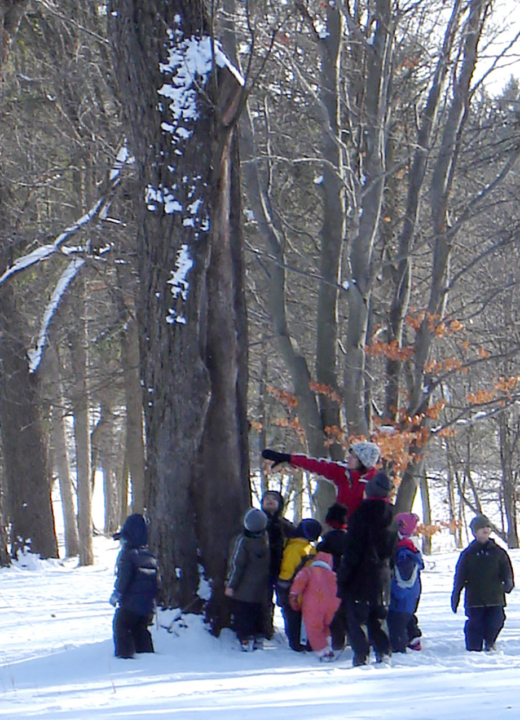 A group of children explore the winter woods with Arboretum instructors.