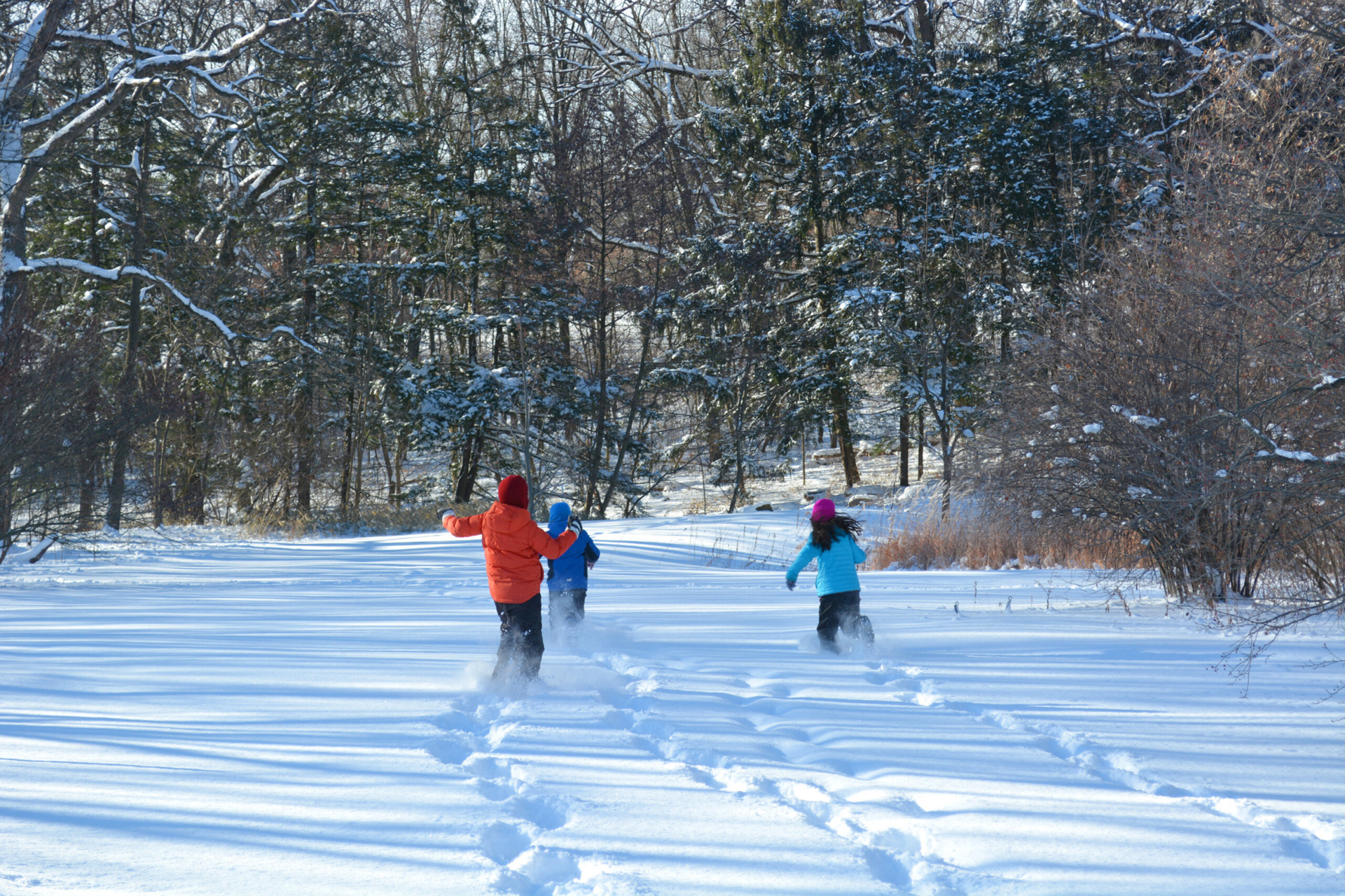 Children running through the snow at an outdoor education program.