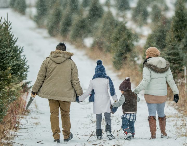 The Morton Arboretum