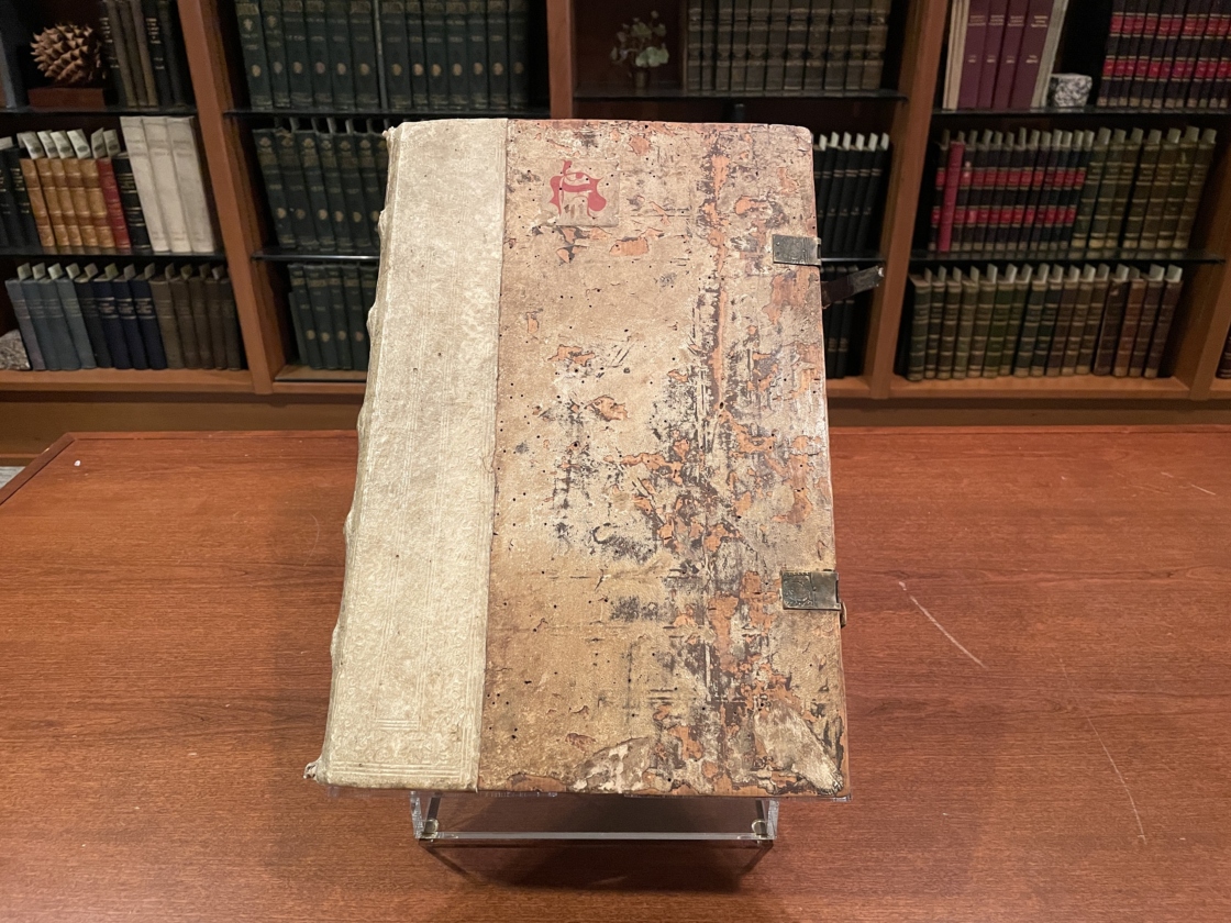 The Morton Arboretum