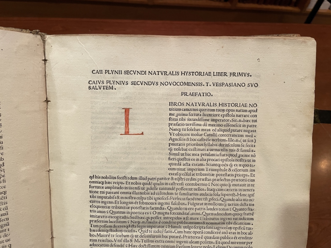 The Morton Arboretum