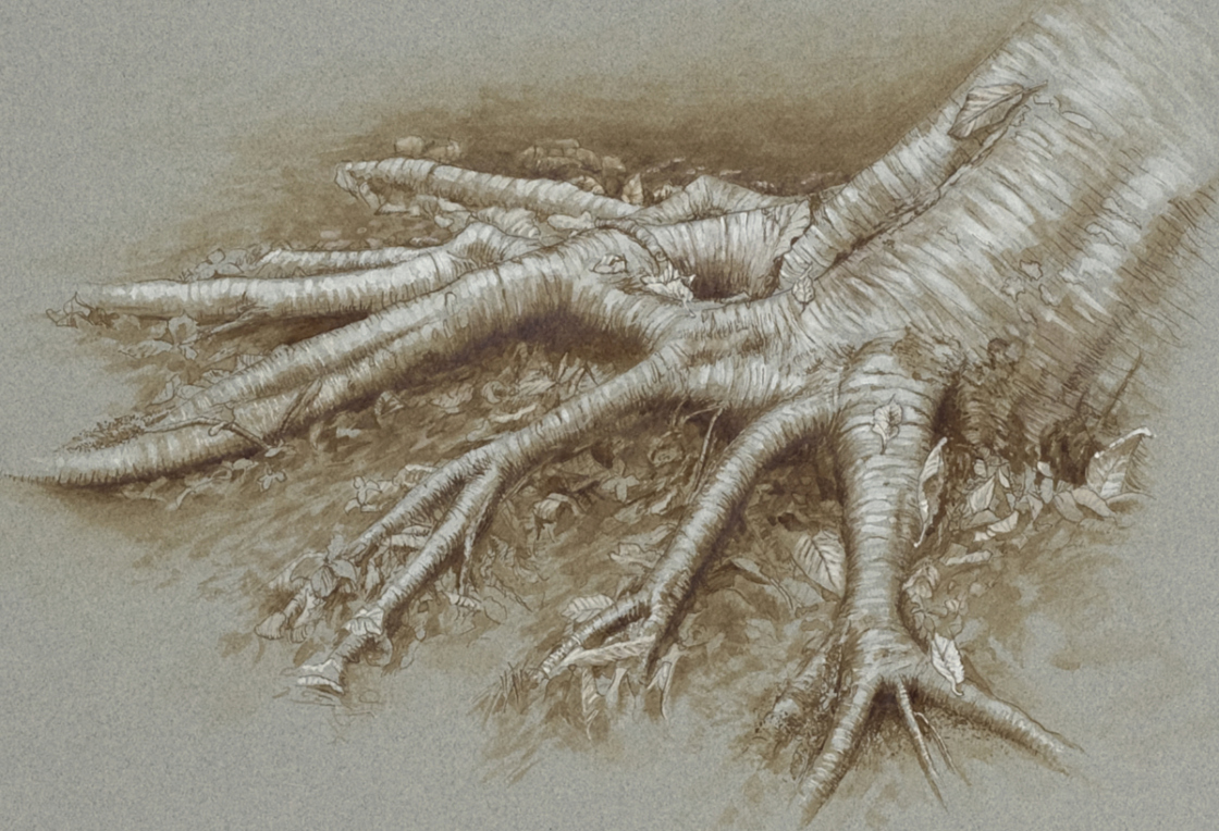 Monhegan Roots, by John Fleck