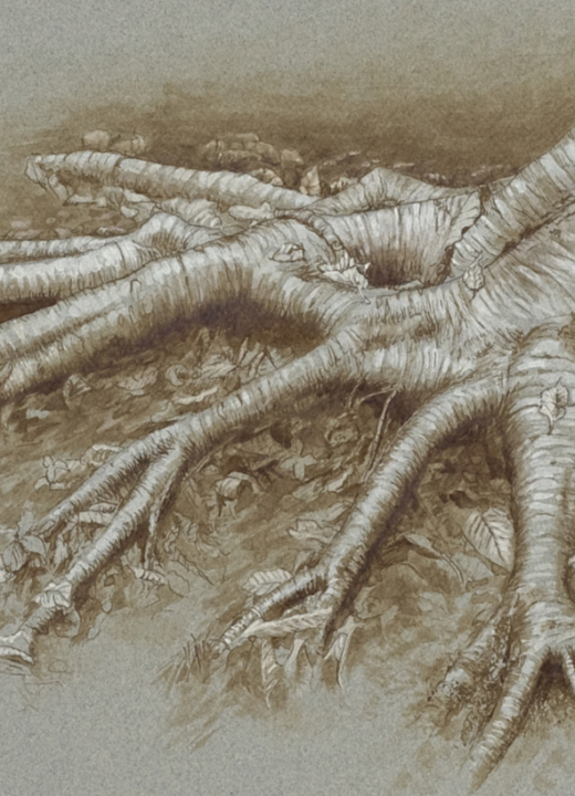 Monhegan Roots, by John Fleck