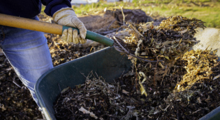 A person with a pitchfork adding mulch and compost to their garden soil.