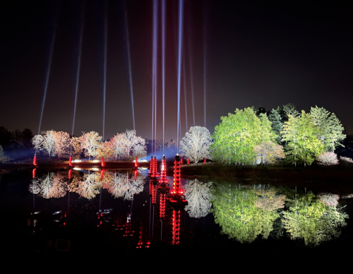 The Morton Arboretum